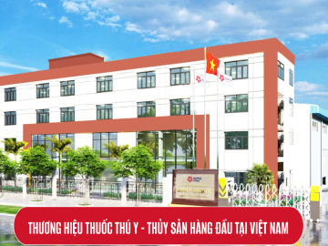 Tầm nhìn - sứ mệnh - cam kết Tầm nhìn - sứ mệnh - cam kết