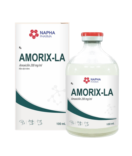 AMORIX - LA