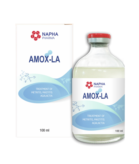 AMOX - LA