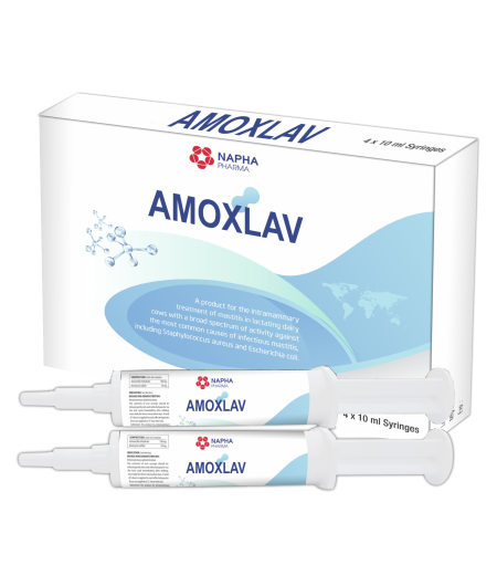 AMOXLAV