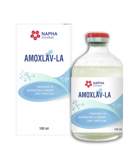 AMOXLAV-LA