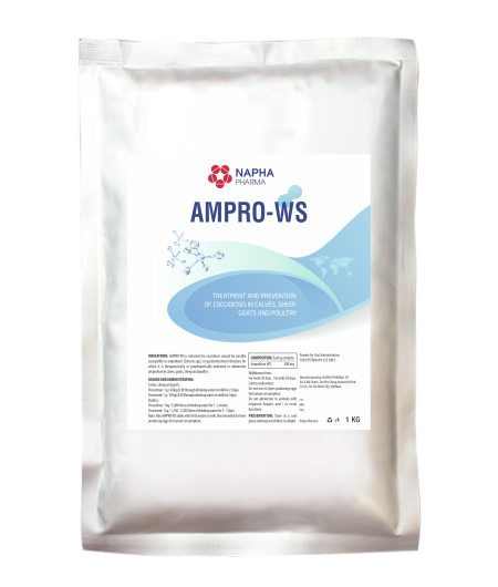 AMPRO WS