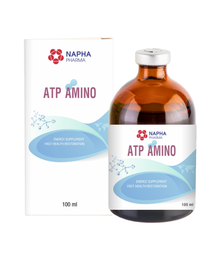 ATP AMINO