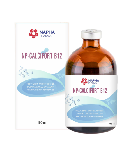 NP - CALCIFORT B12