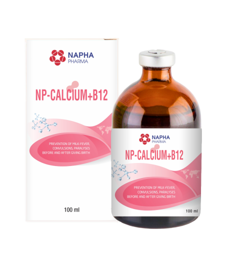 NP - CALCIUM + B12