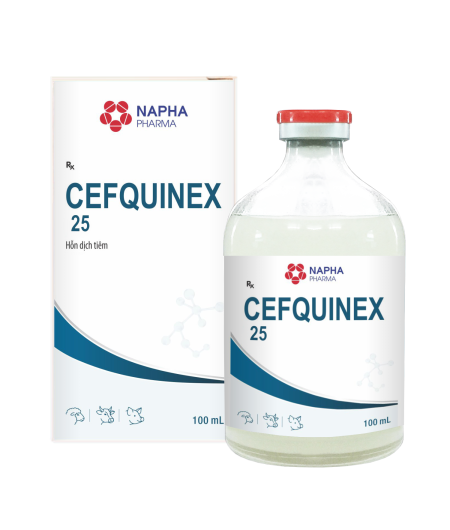 CEFQUINEX 25