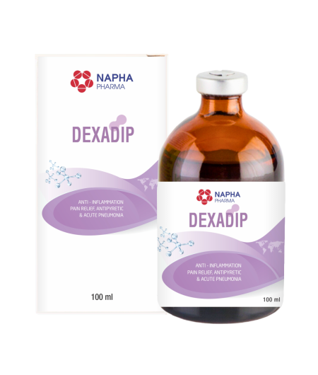 DEXADIP