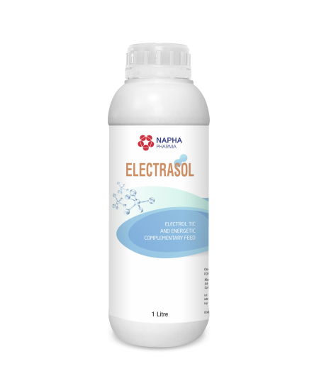 ELECTRASOL