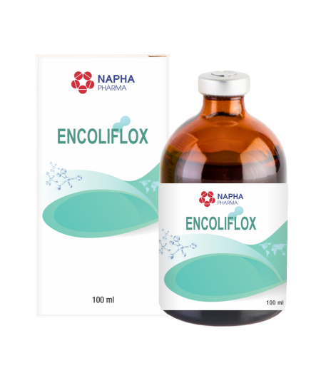 ENCOLIFOX