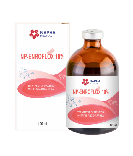 NP - ENRPFLOX 10%