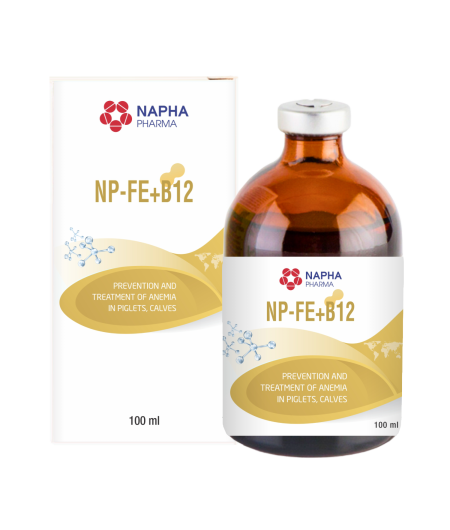 NP - FE + B12