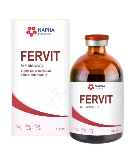 FERVIT