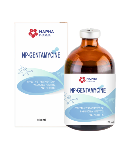 NP - GENTAMYCIN 