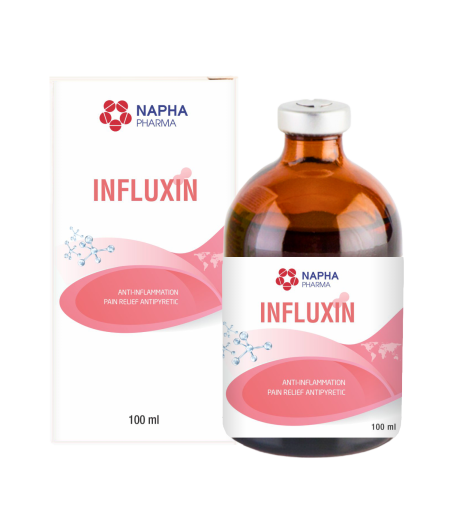 INFLUXIN