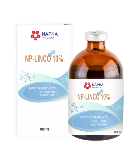 NP - LINCO 10%