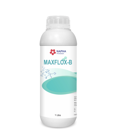 MAXFLOX-B