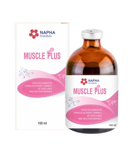MUSCLE PLUS