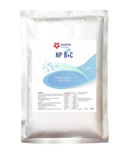 NP - B+ C