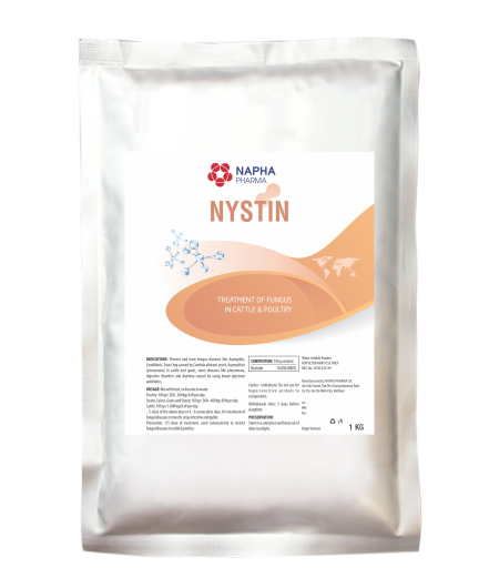 NYSTIN