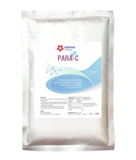 PARA C
