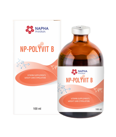 NP - POLYVIT B