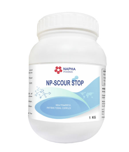 NP - SCOUR STOP