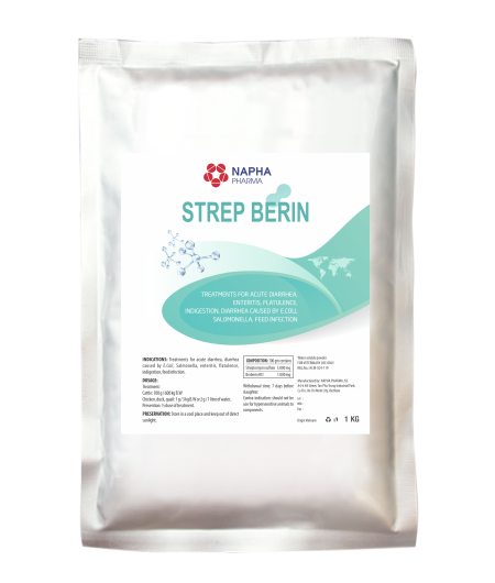 STREP - BERIN