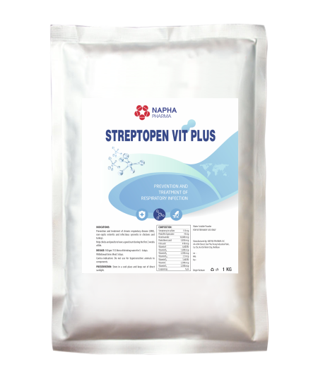 STREPTOPEN VIT PLUS