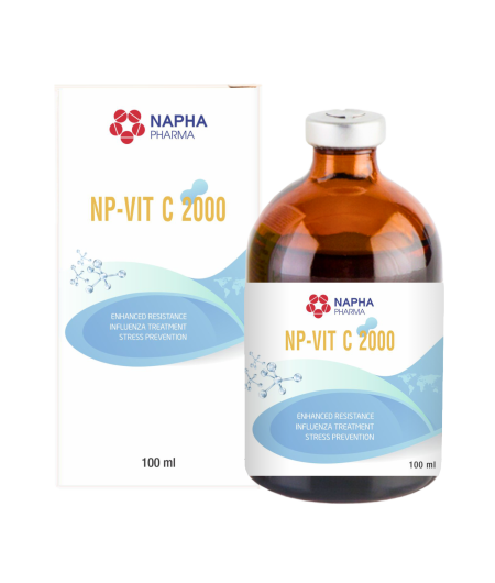 NP - VIT C 2000