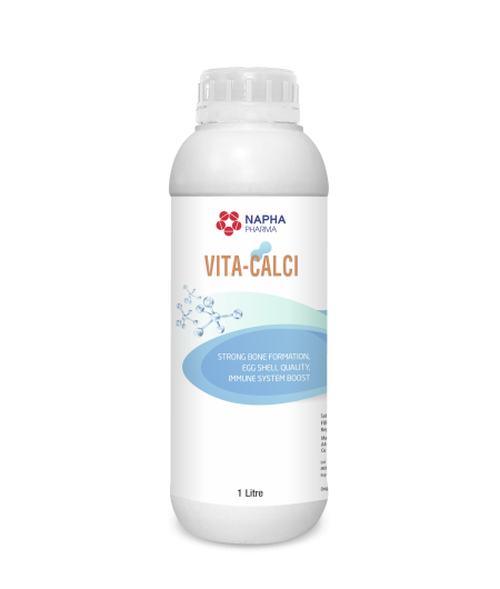 VITA - CALCI