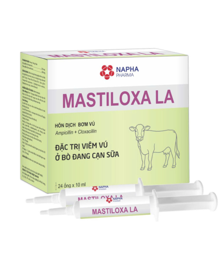 MASTILOXA LA