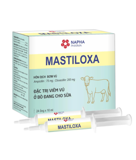 MASTILOXA