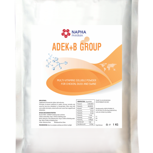ADEK + B GROUP