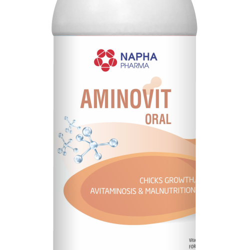 AMINOVIT ORAL