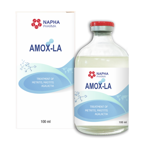 AMOX - LA