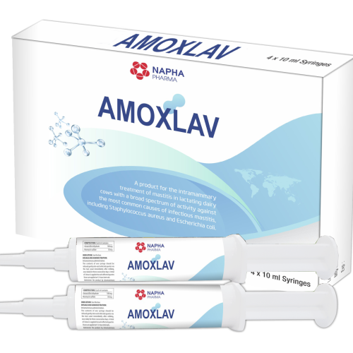 AMOXLAV