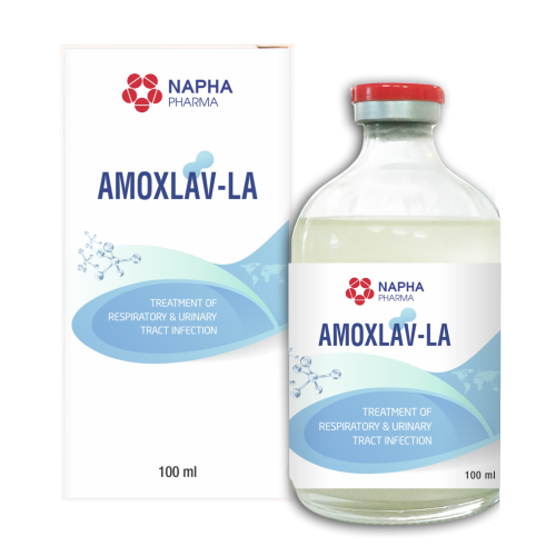AMOXLAV-LA