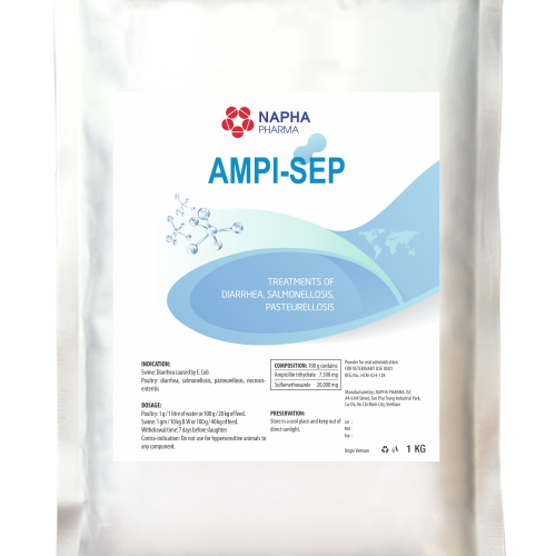 AMPI - SEP