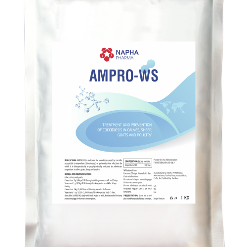 AMPRO WS