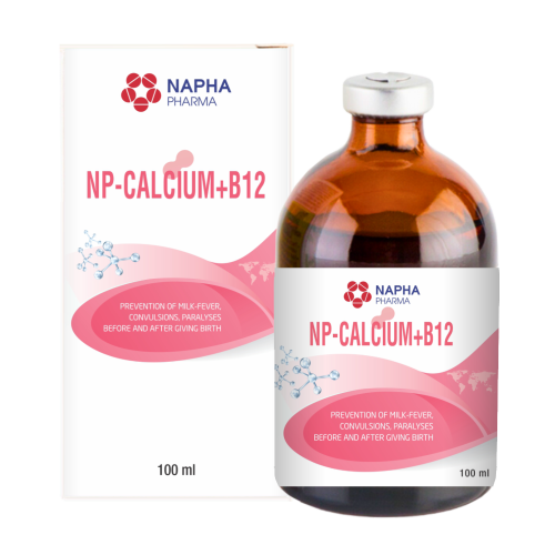 NP - CALCIUM + B12
