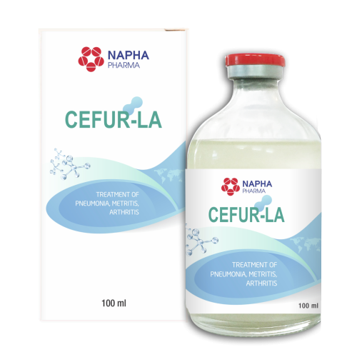 CEFUR - LA