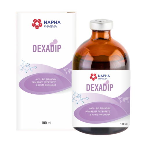 DEXADIP