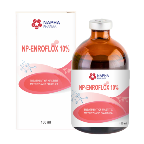 NP - ENRPFLOX 10%