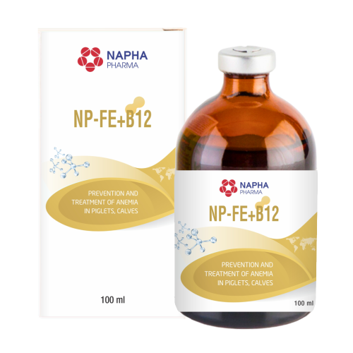 NP - FE + B12