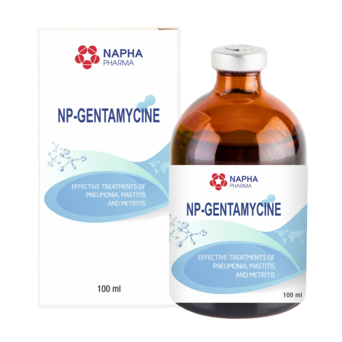NP - GENTAMYCIN 