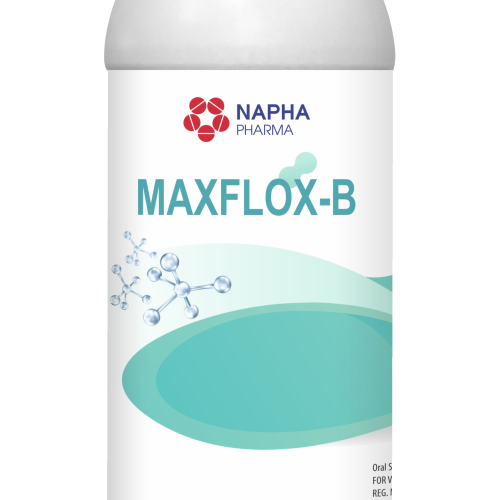 MAXFLOX-B
