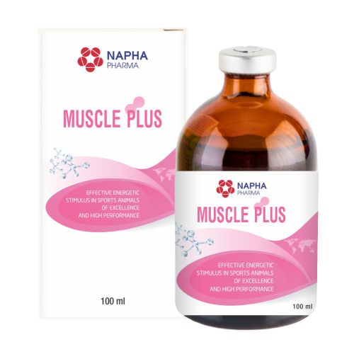 MUSCLE PLUS
