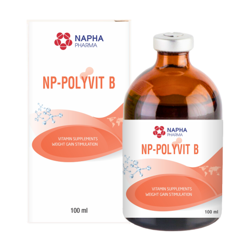 NP - POLYVIT B