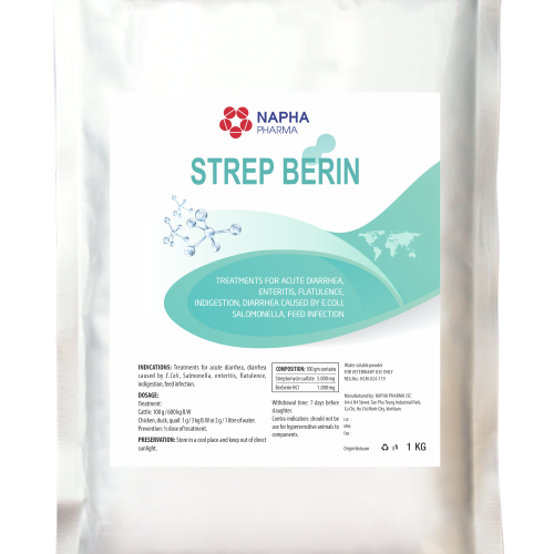 STREP - BERIN