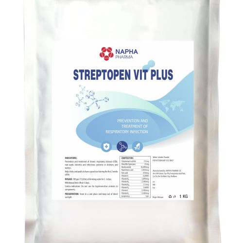 STREPTOPEN VIT PLUS